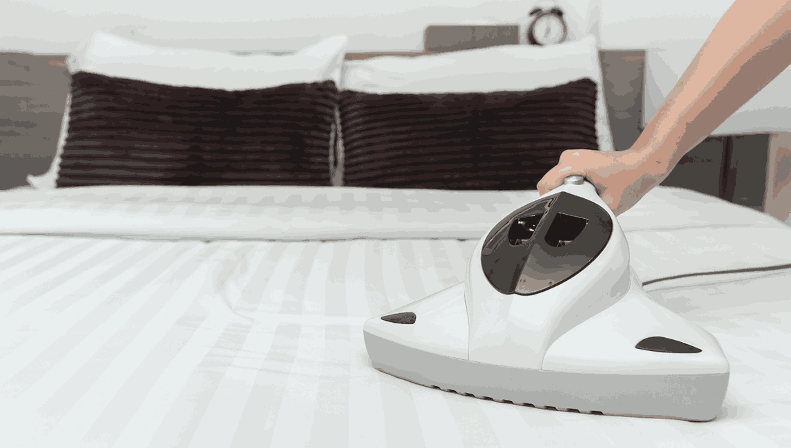 Professional Mattress Cleaning Windsor